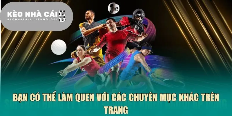 Bạn có thể làm quen với các chuyên mục khác trên trang