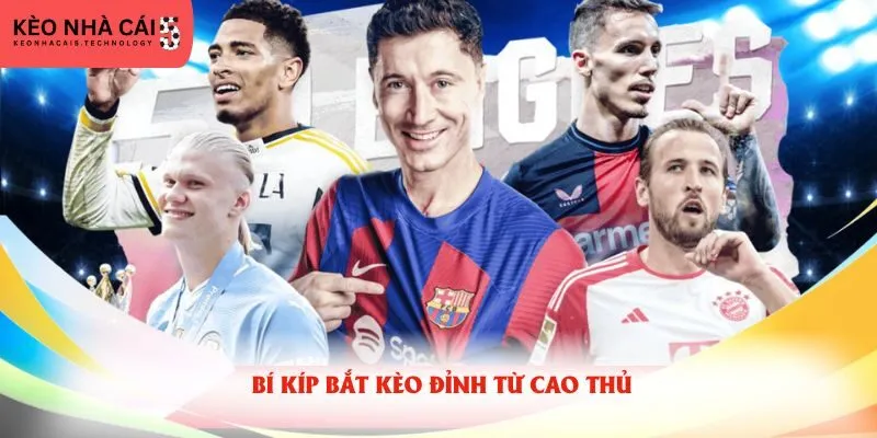 Bí kíp bắt kèo đỉnh từ cao thủ